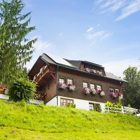 Gaestehaus Maria Brinkhus Apartment Schonach im Schwarzwald