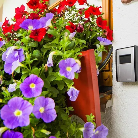 Daire Gaestehaus Maria Brinkhus *