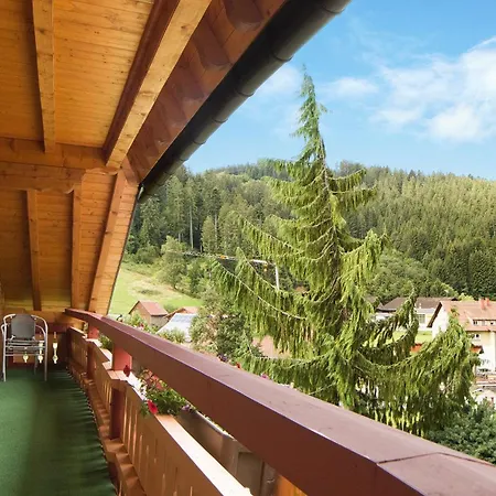 豪斯玛利亚布里克努斯旅馆 * Schonach im Schwarzwald