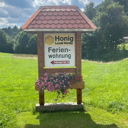 Daire Gaestehaus Maria Brinkhus Schonach im Schwarzwald
