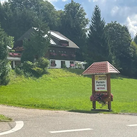 Gaestehaus Maria Brinkhus Schonach im Schwarzwald