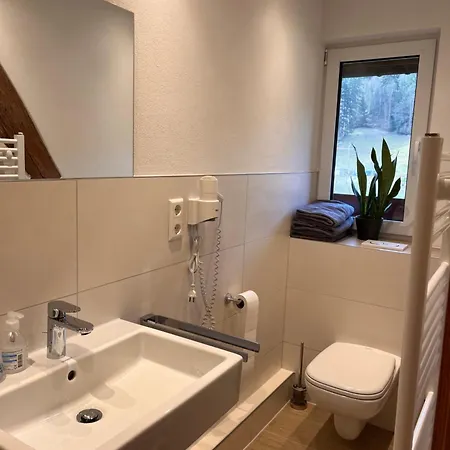 公寓 豪斯玛利亚布里克努斯旅馆 Schonach im Schwarzwald