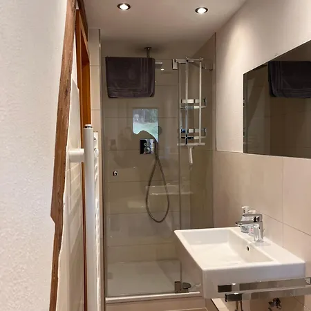 公寓 豪斯玛利亚布里克努斯旅馆 Schonach im Schwarzwald