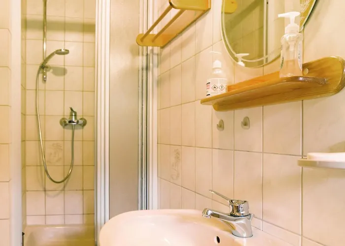 豪斯玛利亚布里克努斯旅馆 * Schonach im Schwarzwald