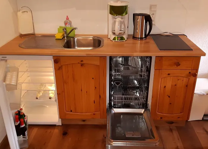 豪斯玛利亚布里克努斯旅馆 公寓 Schonach im Schwarzwald