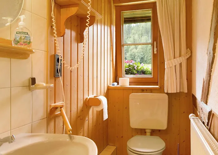 豪斯玛利亚布里克努斯旅馆 公寓 *