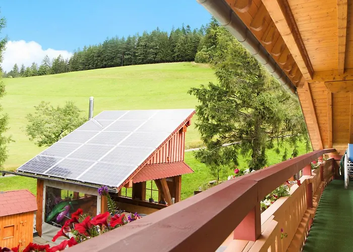 公寓 豪斯玛利亚布里克努斯旅馆 Schonach im Schwarzwald