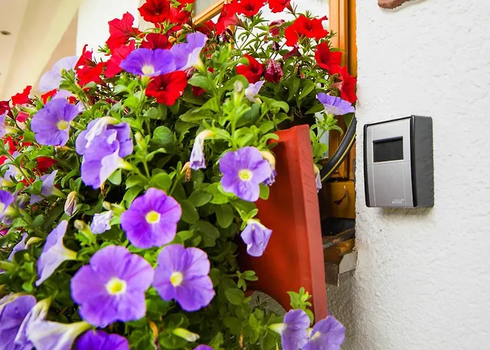 公寓 豪斯玛利亚布里克努斯旅馆 *