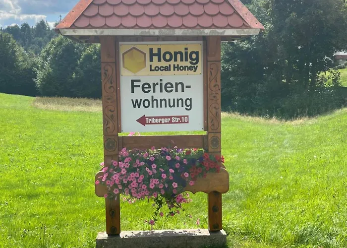 公寓 豪斯玛利亚布里克努斯旅馆 Schonach im Schwarzwald