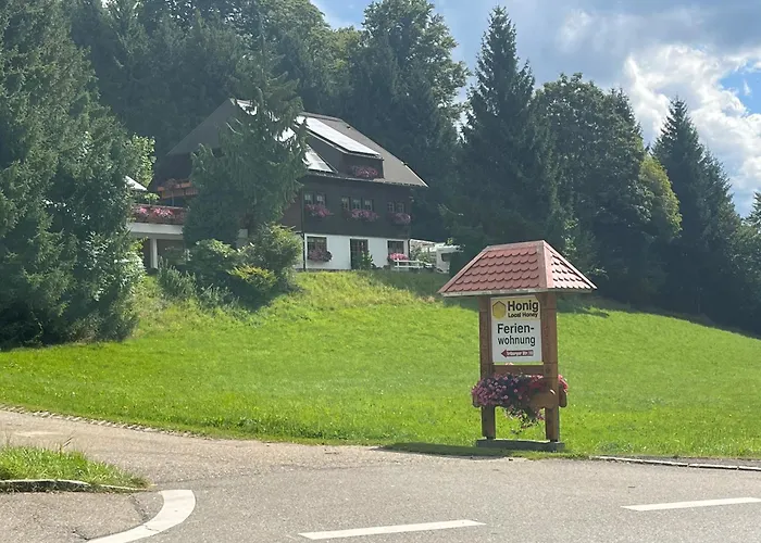 豪斯玛利亚布里克努斯旅馆 Schonach im Schwarzwald